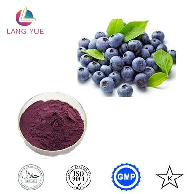 Bilberry Fruit Powder Factory Bilberry Powder