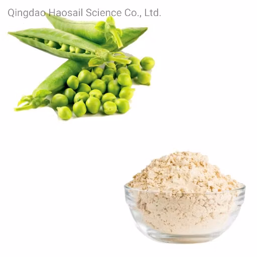 Fabricação de Proteína em Pó Proteína Orgânica Proteína de Ervilha