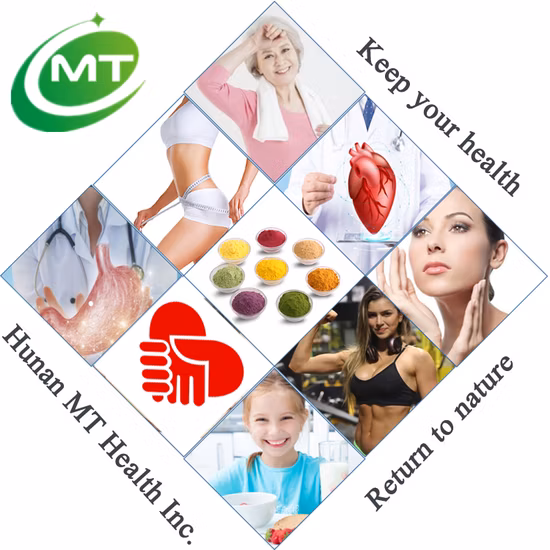 Boldo em pó de fábrica de frutas em pó de mirtilo