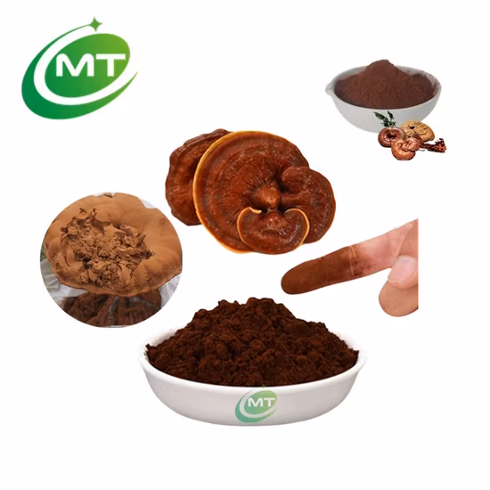 Suplemento de Extrato de Cogumelo Ganoderma Lucidum Reishi Anti Oxidativo