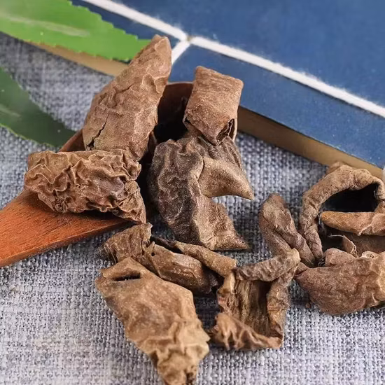 Extrato de Semente de Noz de Alta Qualidade Juglans Regia Extrato Rico em Proteína Cérebro