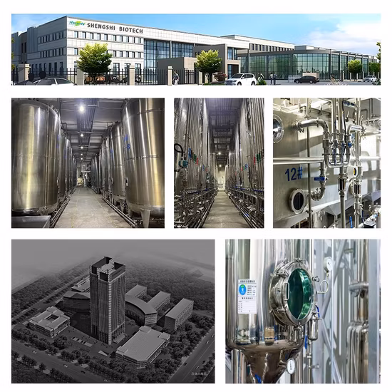 Preço de fábrica 98% CAS 57-00-1 Creatina Anidra