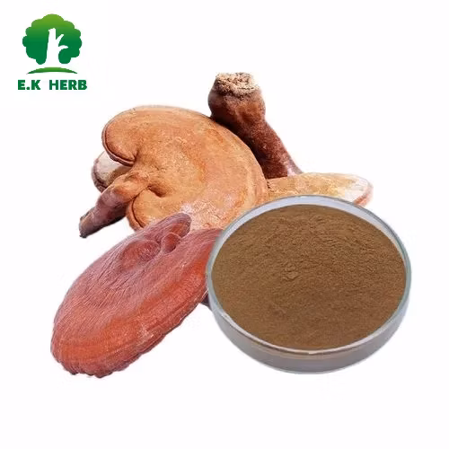 Planta Reishi Polissacarídeo Pó Lingzhi Reishi Cogumelo Ganoderma Lucidum Extrato