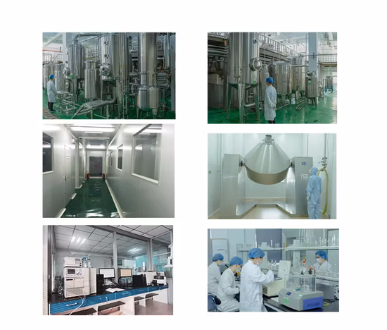 Xi an Sost Biotech Supply Extrato de Fruta Orgânico OPC Extrato de Semente de Uva em Pó