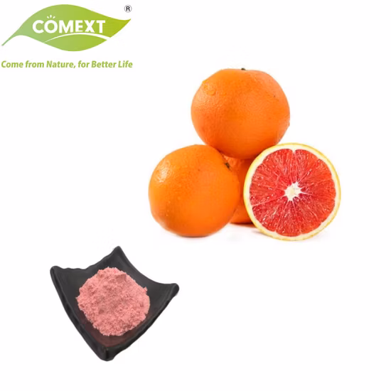 100% Pó de Fruta Natural Pó de Laranja / Suco de Laranja Concentrado em Pó / Suco de Laranja em Pó