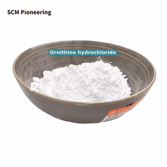 Creatina em pó/suplemento de creatina monohidratada em pó/pó branco cristalino/alta qualidade/bom preço/atacado de fábrica/insolúvel em etanol